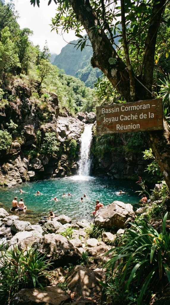 Bassin des cormorans : un coin de baignade secret à la Réunion